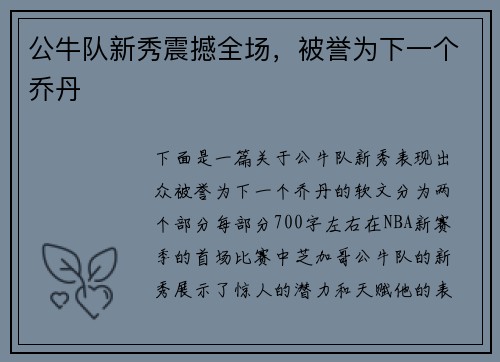 公牛队新秀震撼全场，被誉为下一个乔丹
