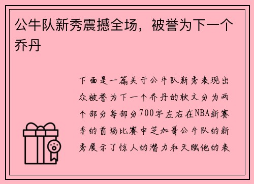 公牛队新秀震撼全场，被誉为下一个乔丹